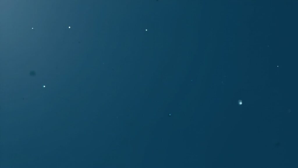 OpenAI Astra for Law cover