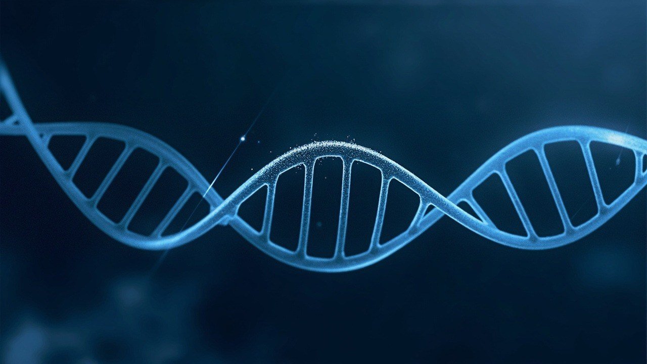 CoinCustard cover image for ai article